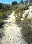 Imagen0865.jpg