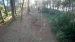 DSCN2837.jpg