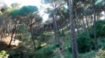 DSCN2850.jpg
