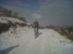 IMG-20120204-00130.jpg