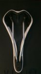 dsc0113srj.jpg