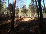 DSC00142.JPG