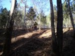 DSC00146.JPG