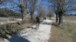 IMG_2798_1.JPG