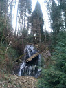 IMAG0221.jpg