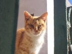 20120213_121155.jpg