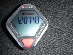 Polar..jpg