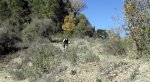 DSCF1271.JPG