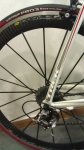 IMG-20120209-WA0004.jpg
