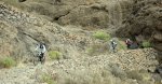 DSC_1508.JPG