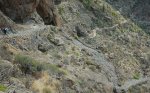 DSC_1529.JPG