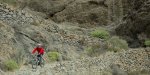 DSC_1530.JPG