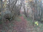 2011-11-26 15.49.43.jpg