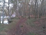 2011-11-26 15.52.52.jpg