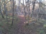 2011-11-26 15.52.57.jpg