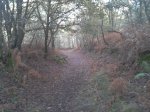 2011-11-26 15.58.22.jpg