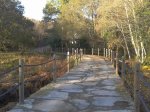 2011-11-26 16.03.57.jpg