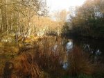2011-11-26 16.05.53.jpg
