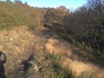 2011-11-26 16.13.00.jpg