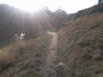 2011-11-26 16.13.06.jpg