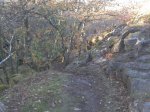 2011-11-26 16.15.33.jpg