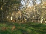 2011-11-26 16.22.10.jpg