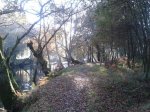 2011-11-26 16.26.54.jpg