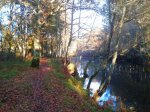 2011-11-26 16.27.00.jpg