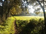 2011-11-26 16.35.22.jpg