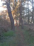 2011-11-26 16.39.50.jpg