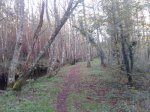 2011-11-26 16.54.19.jpg