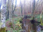 2011-11-26 16.54.25.jpg