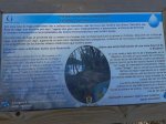 2011-11-26 17.04.17.jpg