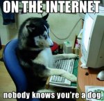 tumblr_lz8kcauckZ1qzpsuoo1_500.jpg