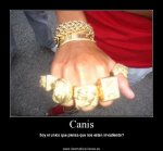 Canis_18.jpg