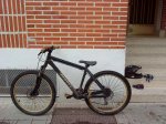 DSC01810.jpg