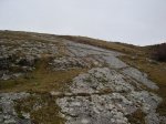 DSC03413.JPG