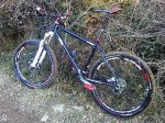IMG00163-20120214-1636-R.jpg