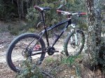 IMG00166-20120214-1733-R.jpg