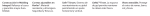Veleno_text_es.png