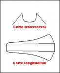 Dibujo.JPG