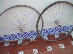 DSCN0205.JPG