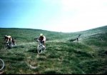 Boi-taull (baques) juliol2 1997.jpg