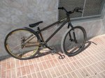 DSCN1388.JPG