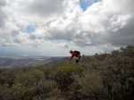 DSCN2716.jpg