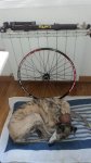 DSC01447.JPG
