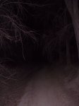 nocturnafebrero2012001.jpg