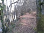 2012-02-16 16.43.04.jpg