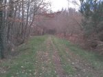 2012-02-16 16.58.16.jpg