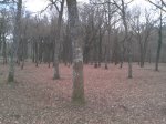 2012-02-16 17.00.53.jpg